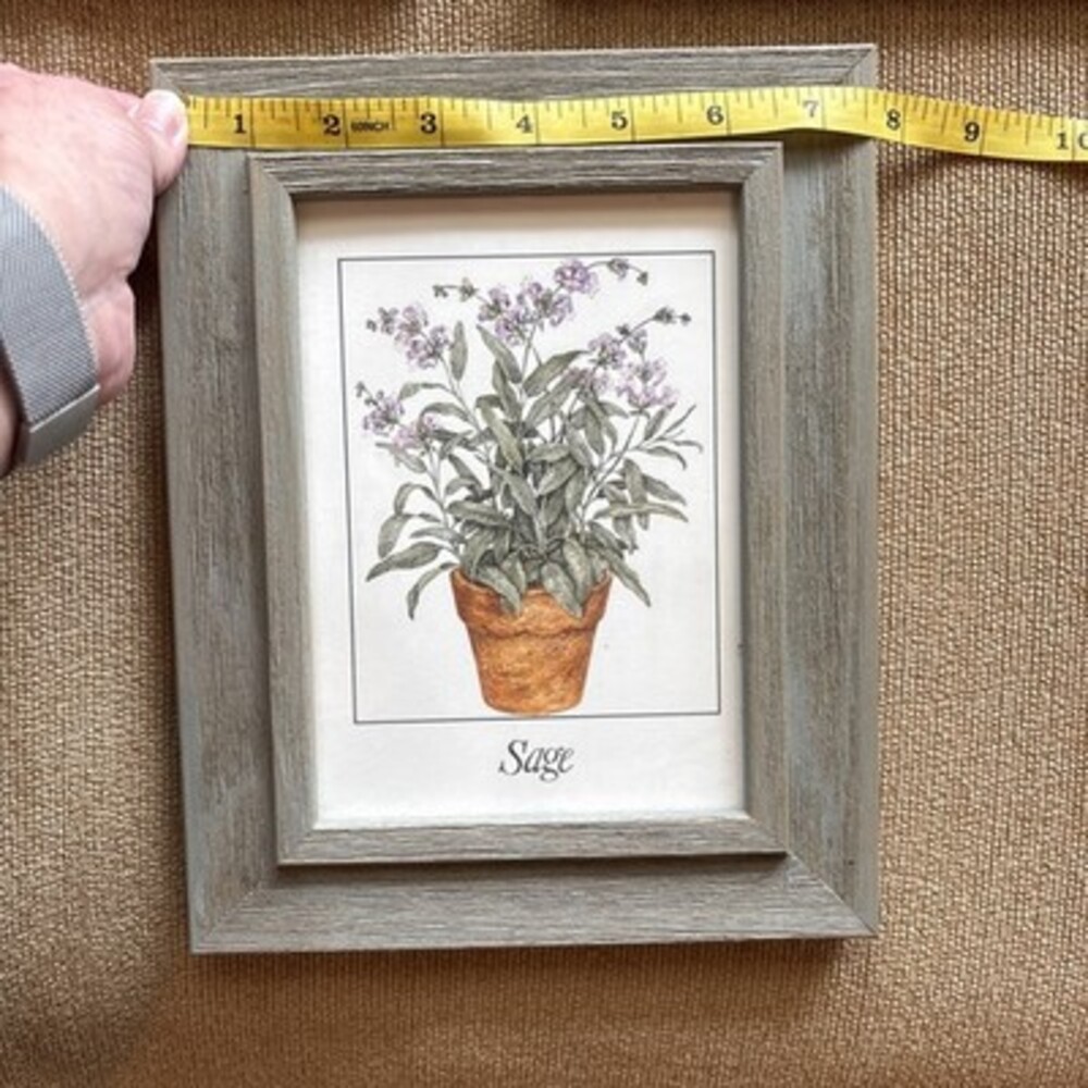 EUC Set Of Three Herb Portraits Thyme Sage Basil, Faux Wood Frame, 9 1/2 X 7 1/2 - Picture 5 of 12